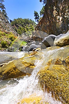 Dos Aguas, Barranco de las Angustias, Caldera de Taburiente National Park, Spain photo