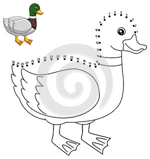 Dot to Dot Duck Coloring Page for Kids