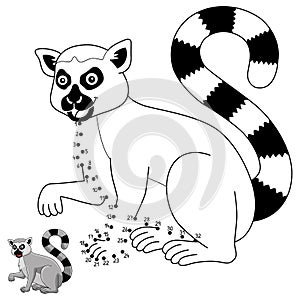 Dot to Dot Katta Animal Isolated Coloring Page