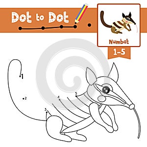 Dot to dot educational game and Coloring book Numbat animal cartoon character vector illustration