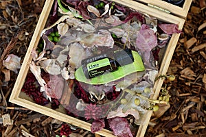 Doterra essential oils in natural setting