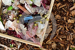 Doterra essential oils in natural setting