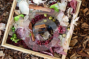 Doterra essential oils in natural setting