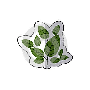 Dotted sticker green leaves with ramifications