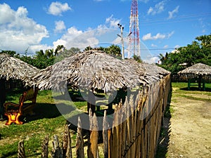 Tala palm hut photo