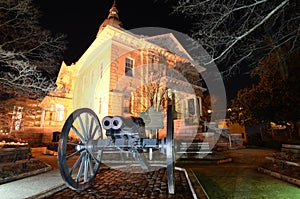 Double Barrel Cannon and City Hall