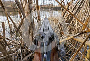 A double-barreled shotgun with cocked the trigger pointing in the direction of the pond through the reeds