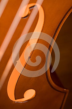 Double Bass
