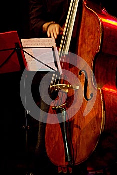 Double bass