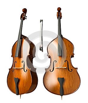 Double bass