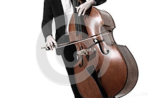 Double bass hands Contrabass