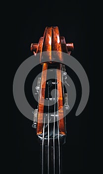 Double bass head stock with strings and tuners