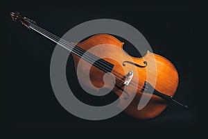 Double bass with no person isolated on black background
