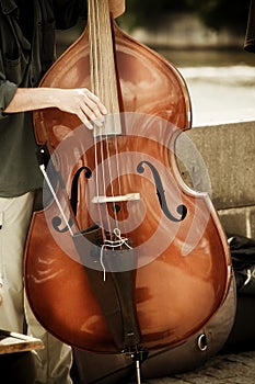 Double bass performer