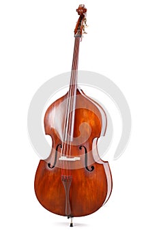 Double bass on white background