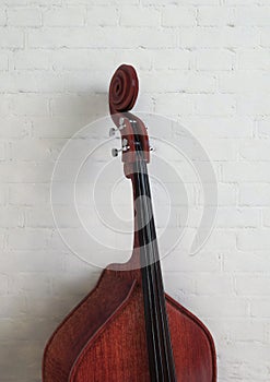 Double bass, white wall background.