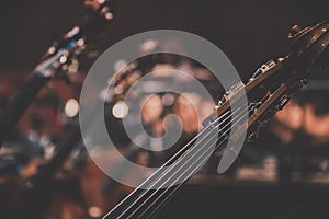 Double basses - Photo - Background - Graphic background - Wallpaper