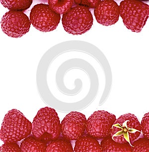 Double Border of Raspberries