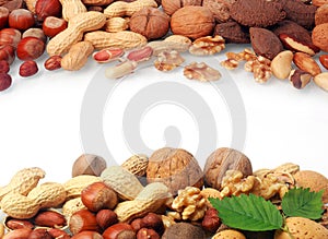 Double border of a selection of fresh nuts