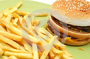 Double cheeseburger and Fries