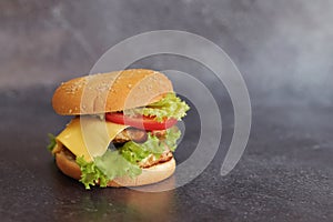 Double cheeseburger on a gray background. Fast food