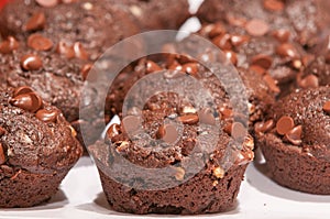 Double Choc Muffins