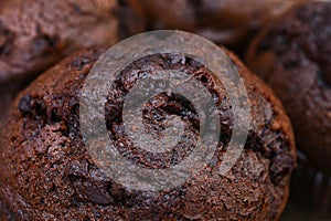 Double Chocolate Chip Muffin Close Up