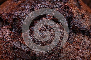 Double Chocolate Chip Muffin Close Up