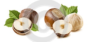 Double combo hazelnut nut set leaves isolated on white background photo