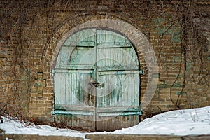 Double doors covered with ivy. vintage blue garden gate door in a green hedge row. rustic wooden door of an underground old-