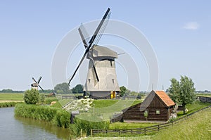 Double Dutch windmills photo