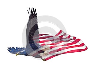 Double exposure of bald eagle on american flag.