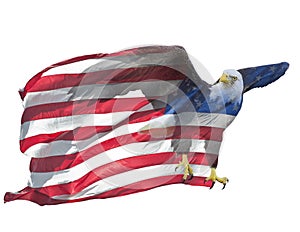 Double exposure of bald eagle on american flag.