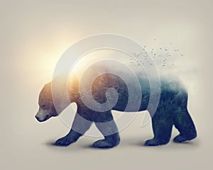 Double exposure with a bear