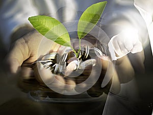 Double exposure of business man point the finger and money plant is growing coins in hand, growing money concept