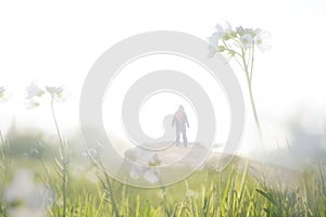 A double exposure of a close up of white flowers with a silhouetted. male hiker. With an abstract, experimental dream like edit