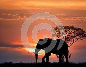 Double Exposure Effect of Elephant at Sunset