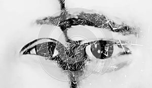 Double exposure eyes of a couple combined with photograph of greenery, leaves, man and woman eyes close-up, black and white