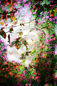 Double exposure of floral objects