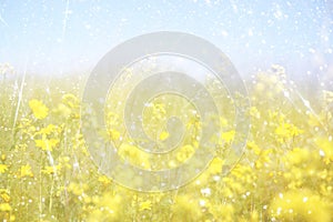 Double exposure of flower field bloom, creating abstract and dreamy photo