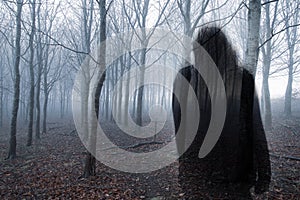 A double exposure of a ghostly semi transparent woman. over layered a moody misty forest in winter.