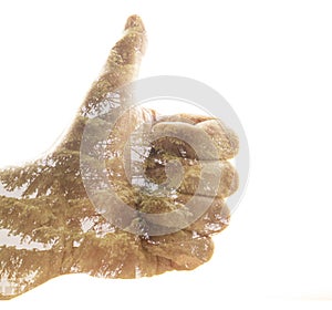 Double exposure hand and fir tree