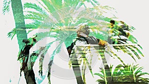 Double exposure image of tropic palms and old man sitting, memories of youth