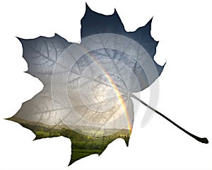 double exposure - leaf and rainbow