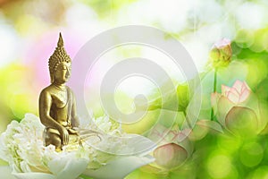 Double exposure of the lotus flower or water lily and face of buddha statue.