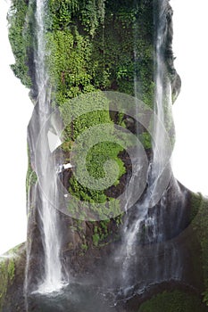 A double exposure of a man& x27;s portrait silhouette and a photo of nature