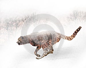 Double exposure of running cheetah and trees