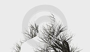 Double Exposure of silhouette and winter trees