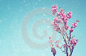 Double exposure of Spring Cherry blossoms tree. abstract background. dreamy concept with glitter overlay photo