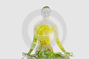 Double exposure-tranquility yoga woman meditation with branch large tree and leaf spreading,isolated white background, concept of